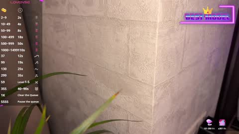 Walt Enjoy online show from 1, 2, 2025