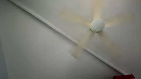 wan2cum4you online show from 1, 2, 2025