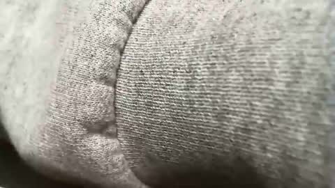 wanting1for online show from 19, 2, 2026