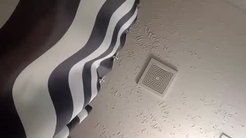 Snapshot of wanttowatch87 chatting on 25, 12, 2024 wanttowatch87 online show from 25, 12, 2024