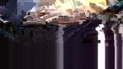 Snapshot of wanttowatch87 chatting on 12, 2, 2025 wanttowatch87 online show from 12, 2, 2025