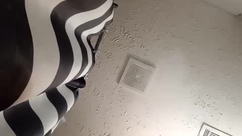 Snapshot of wanttowatch87 chatting on 20, 2, 2025 wanttowatch87 online show from 20, 2, 2025