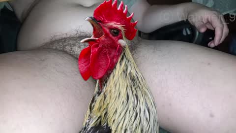 classified online show from 24, 12, 2024