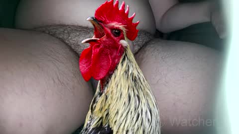 classified online show from 7, 10, 2025