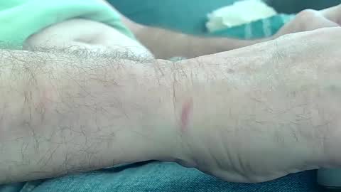 glenlooker online show from 2, 3, 2025