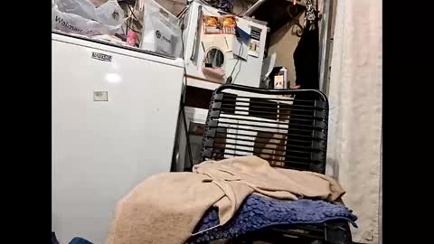 wcnmail24 online show from 16, 2, 2026