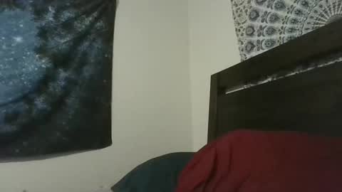 Viking Man online show from 19, 3, 2026