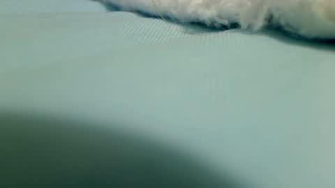 webbo809 online show from 16, 3, 2026