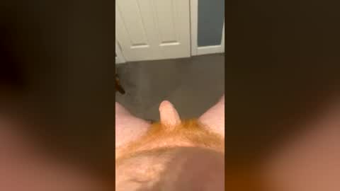 Snapshot of weehornyginger chatting on 10, 7, 2026 Horny ginger online show from 10, 7, 2026