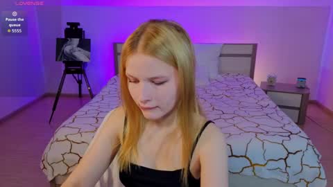 kite and joe3 online show from 31, 5, 2026