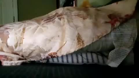 welldny online show from 19, 10, 2025