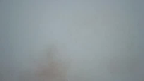 wet_pussieyy online show from 17, 2, 2026