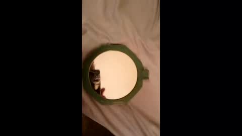 Snapshot of whetedoyouwantmetoputit chatting on 22, 3, 2026 whetedoyouwantmetoputit online show from 22, 3, 2026