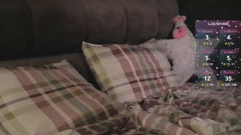 Zozo online show from 8, 1, 2026