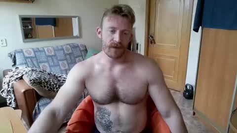 WhiteBull online show from 28, 6, 2026