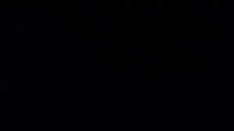 Snapshot of whitehead_lion chatting on 20, 1, 2025 whitehead_lion online show from 20, 1, 2025