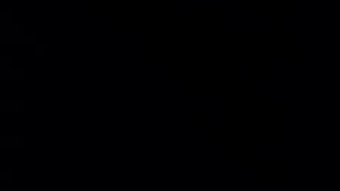 Snapshot of whitehead_lion chatting on 21, 2, 2025 whitehead_lion online show from 21, 2, 2025