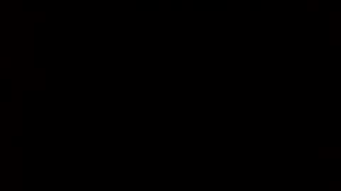 Snapshot of whitehead_lion chatting on 24, 2, 2025 whitehead_lion online show from 24, 2, 2025