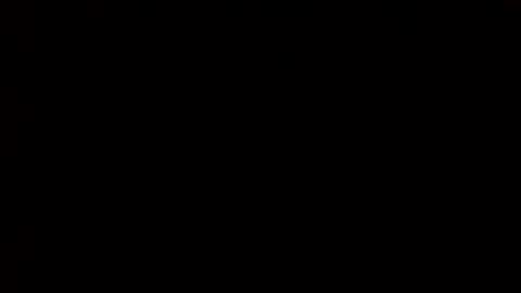 Snapshot of whitehead_lion chatting on 1, 3, 2025 whitehead_lion online show from 1, 3, 2025