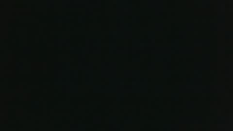 whitehead_lion online show from 14, 3, 2026