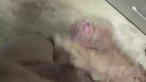 Snapshot of whitelava_4u chatting on 30, 5, 2026 whitelava_4u online show from 30, 5, 2026