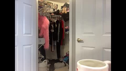 iamwhitneyoc online show from 13, 1, 2025