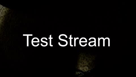 Snapshot of whowhat314159 chatting on 30, 10, 2025 Will online show from 30, 10, 2025