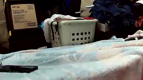 Snapshot of wife_phucker69 chatting on 20, 10, 2025 Ryder Harder online show from 20, 10, 2025