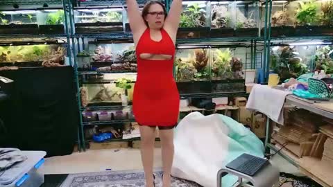 WifeNheels online show from 26, 4, 2026