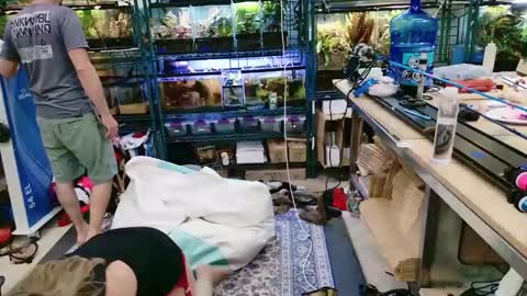 Snapshot of wifen_heels chatting on 7, 6, 2026 WifeNheels online show from 7, 6, 2026