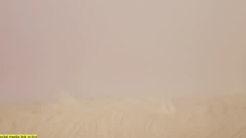 Snapshot of wild_schoolgirl chatting on 13, 1, 2025 wild_schoolgirl online show from 13, 1, 2025