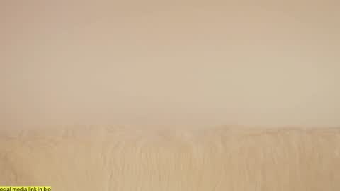 Snapshot of wild_schoolgirl chatting on 18, 1, 2025 wild_schoolgirl online show from 18, 1, 2025