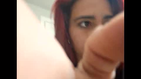 wildcalliope online show from 21, 1, 2025