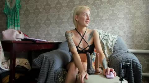 wildforestmuse  twitter online show from 13, 4, 2026