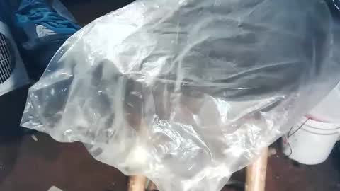 Snapshot of wildman6 chatting on 2, 11, 2025 wildman6 online show from 2, 11, 2025