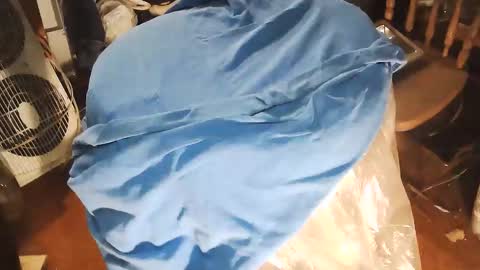 Snapshot of wildman6 chatting on 10, 1, 2026 wildman6 online show from 10, 1, 2026