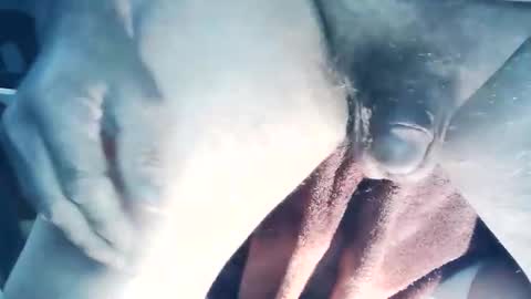 Snapshot of wildman6 chatting on 22, 3, 2026 wildman6 online show from 22, 3, 2026