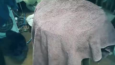 Snapshot of wildman6 chatting on 28, 3, 2026 wildman6 online show from 28, 3, 2026