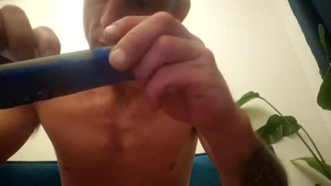 wildmike93 online show from 26, 5, 2026