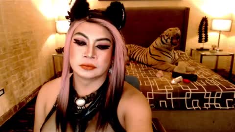 wildtransjhade online show from 16, 1, 2025