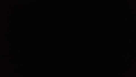 wildwills online show from 14, 4, 2026