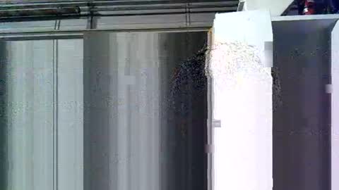 willielowrider online show from 10, 3, 2026