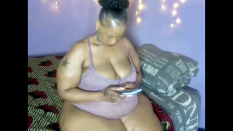 wilmaassylum online show from 8, 1, 2026