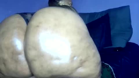 wilmaassylum online show from 8, 3, 2026