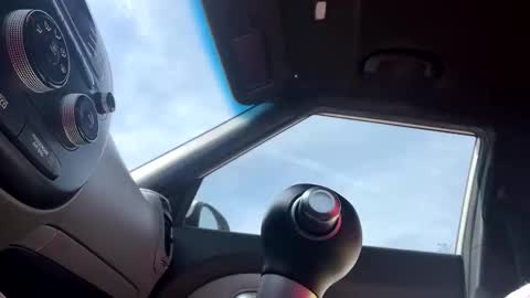 wiludoit online show from 12, 1, 2026