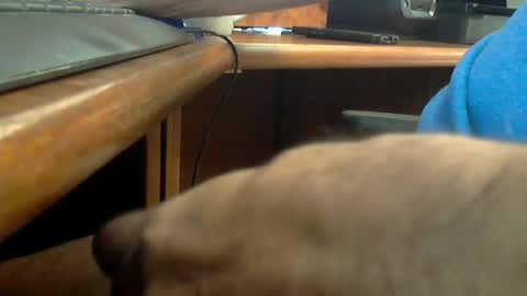Wineman88886 online show from 20, 6, 2026