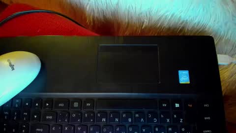 Winter Miracle online show from 20, 1, 2025