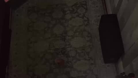 Snapshot of wipwips chatting on 11, 2, 2026 KiwiFruit89 online show from 11, 2, 2026