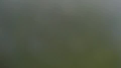 Snapshot of wisanonymousman chatting on 11, 11, 2025 Wisa Randy online show from 11, 11, 2025