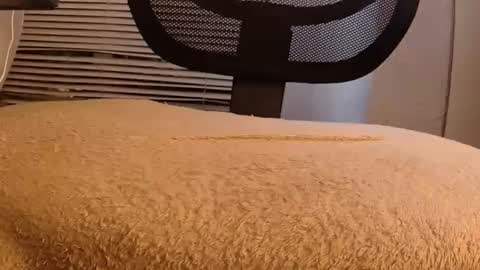 Mater online show from 29, 9, 2025